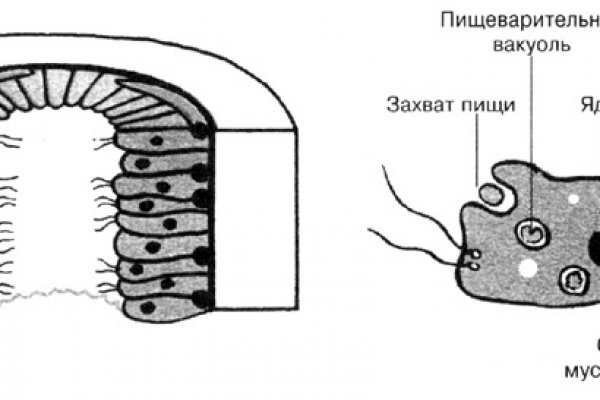 Кракен адрес даркнет