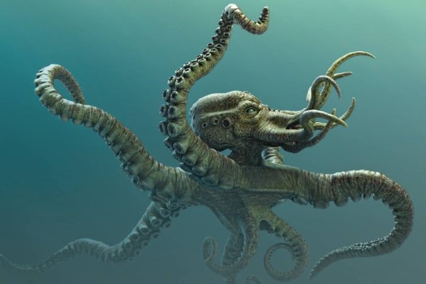 Kraken onion 2024