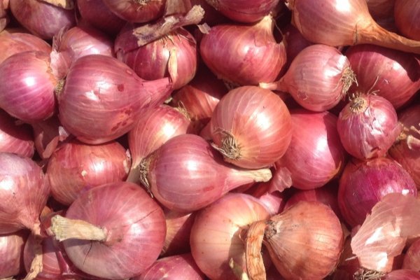 Кракен ссылка onion