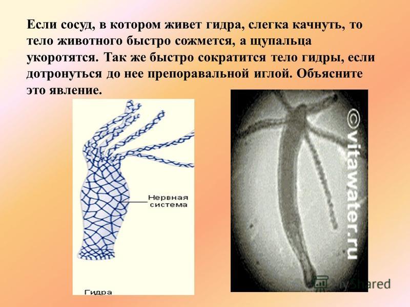 Найдется все kraken 2krn cc что это